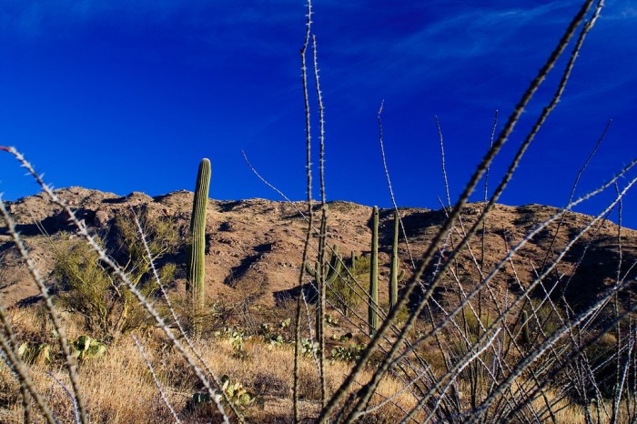 Basins mountains region texas regions