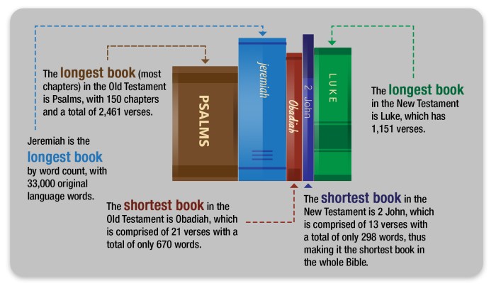 Books of the bible from shortest to longest