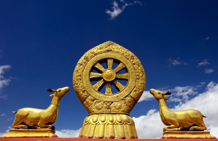 Dharma wheel buddhism symbol dharmachakra deer sacred jokhang tibet golden