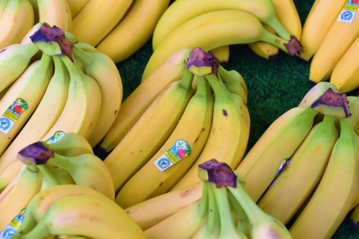 Select the arguments for gmo bananas.