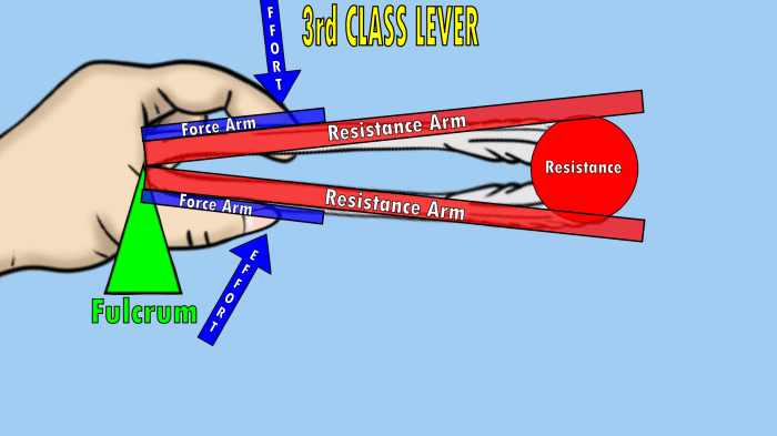 Lever levers tuas fulcrum sederhana pesawat machines manusia tubuh kehidupan sehari sainsmania tengkorak sendi broom physiology menggunakan