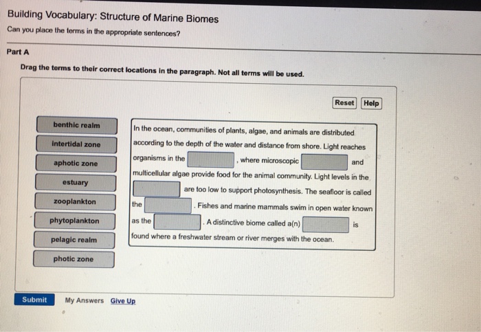 Building vocabulary structure of marine biomes