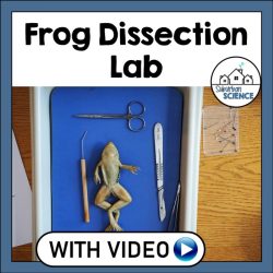 Student exploration frog dissection answer key